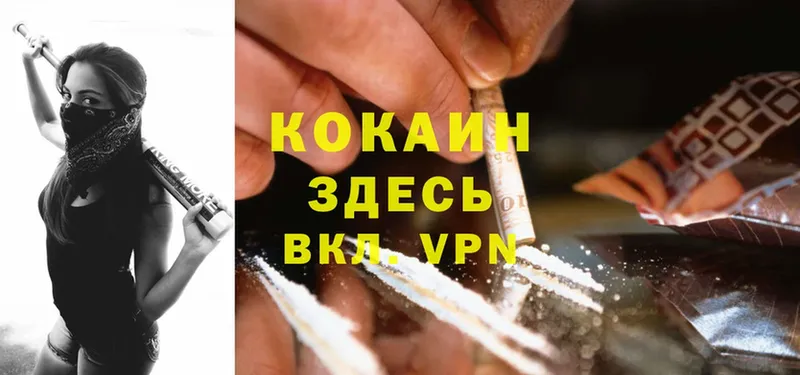 купить закладку  Бийск  Cocaine Эквадор 