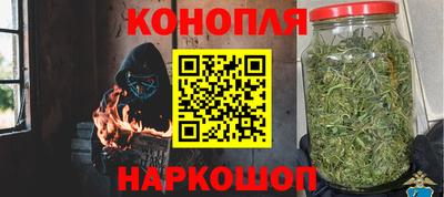 прущие грибы Беслан