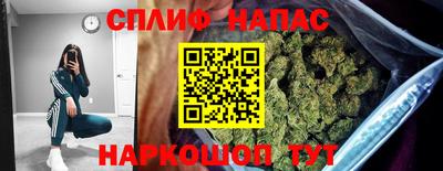 прущие грибы Беслан