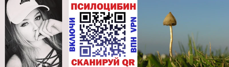 MEGA ссылки  Бийск  Псилоцибиновые грибы мухоморы 