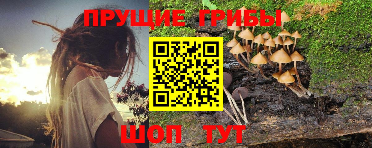 Псилоцибиновые грибы мухоморы  Вход с VPN  Галлюциногенные грибы мухоморы  Бийск 