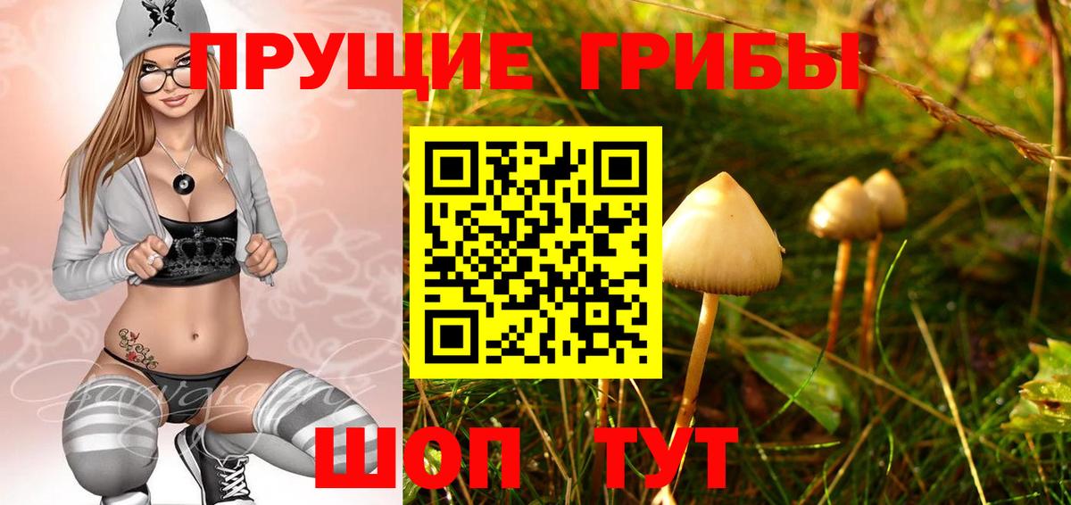 Псилоцибиновые грибы GOLDEN TEACHER Бийск